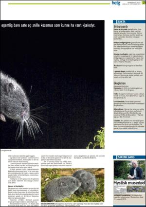 romerikesblad_helg-20100925_000_00_00_021.pdf