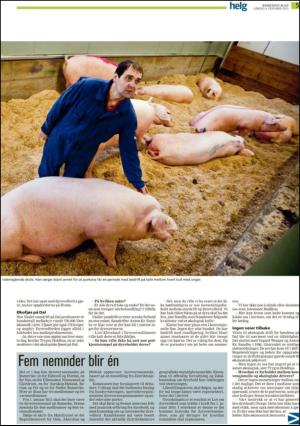 romerikesblad_helg-20101204_000_00_00_005.pdf