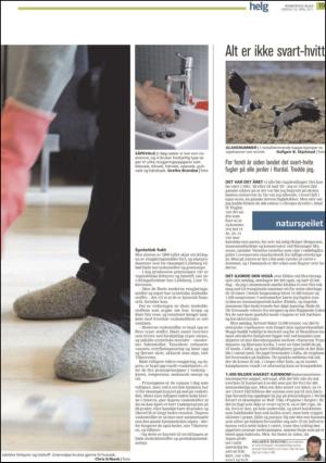 romerikesblad_helg-20110416_000_00_00_019.pdf
