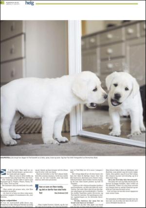 romerikesblad_helg-20110521_000_00_00_006.pdf