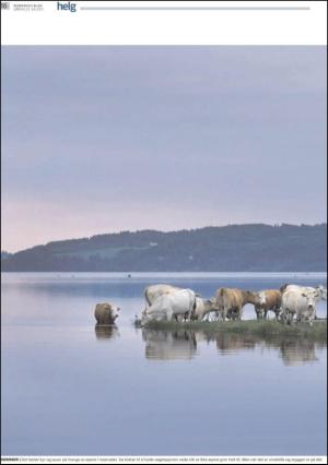 romerikesblad_helg-20110723_000_00_00_016.pdf