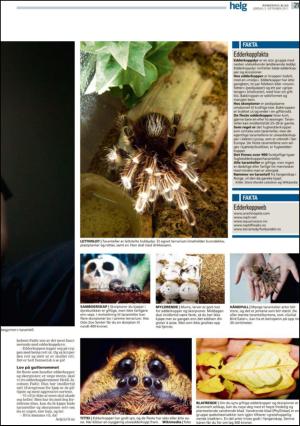romerikesblad_helg-20110903_000_00_00_021.pdf
