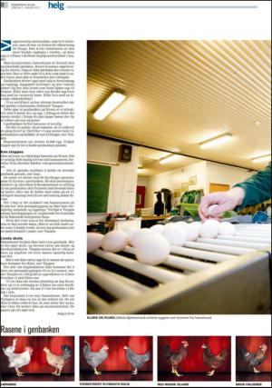 romerikesblad_helg-20130105_000_00_00_008.pdf