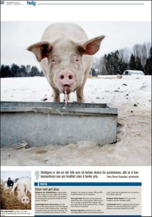 romerikesblad_helg-20130105_000_00_00_020.pdf