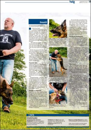 romerikesblad_helg-20130720_000_00_00_019.pdf