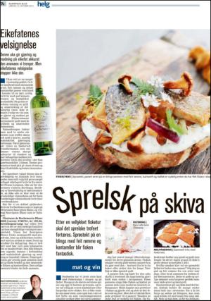 romerikesblad_helg-20131012_000_00_00_014.pdf