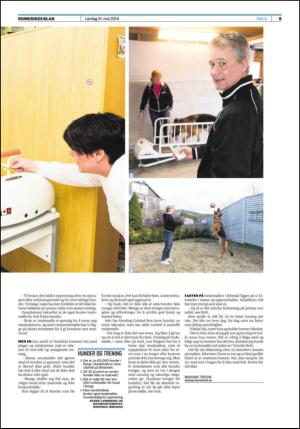 romerikesblad_helg-20140531_000_00_00_009.pdf