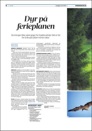romerikesblad_helg-20140621_000_00_00_016.pdf