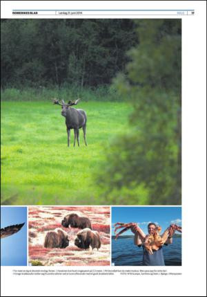 romerikesblad_helg-20140621_000_00_00_017.pdf