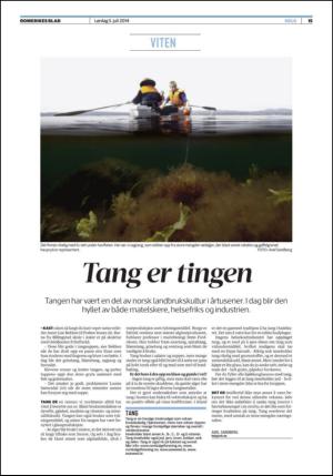 romerikesblad_helg-20140705_000_00_00_015.pdf