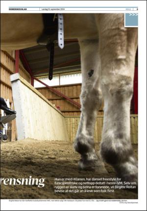 romerikesblad_helg-20140913_000_00_00_005.pdf