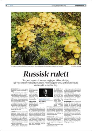 romerikesblad_helg-20140913_000_00_00_014.pdf
