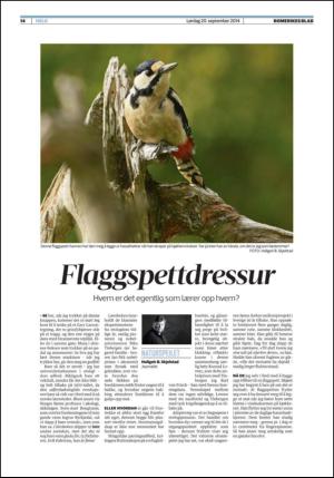 romerikesblad_helg-20140920_000_00_00_014.pdf