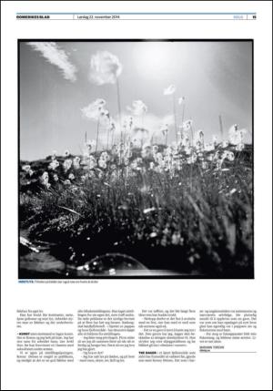 romerikesblad_helg-20141122_000_00_00_015.pdf