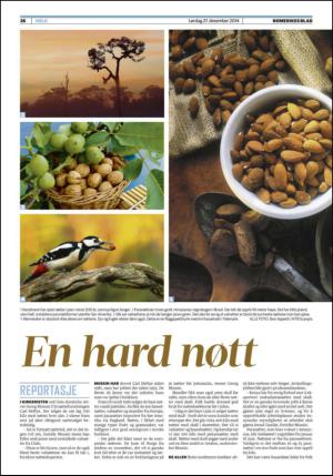romerikesblad_helg-20141227_000_00_00_026.pdf