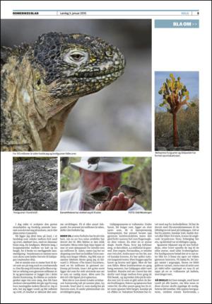 romerikesblad_helg-20150103_000_00_00_005.pdf