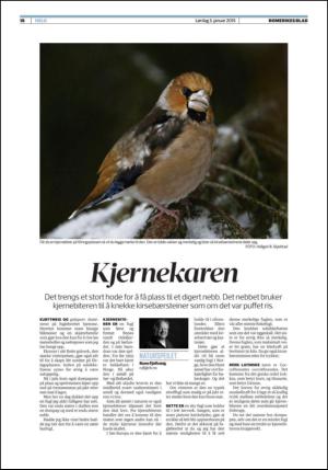 romerikesblad_helg-20150103_000_00_00_018.pdf