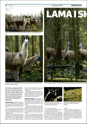 romerikesblad_helg-20160102_000_00_00_022.pdf