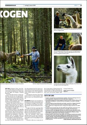 romerikesblad_helg-20160102_000_00_00_023.pdf