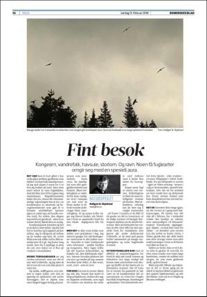 romerikesblad_helg-20160213_000_00_00_014.pdf