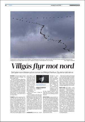 romerikesblad_helg-20160416_000_00_00_014.pdf