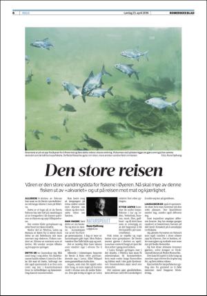 romerikesblad_helg-20160423_000_00_00_008.pdf