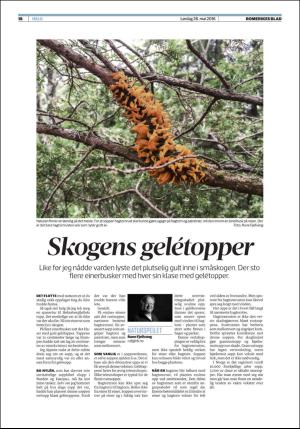 romerikesblad_helg-20160528_000_00_00_018.pdf