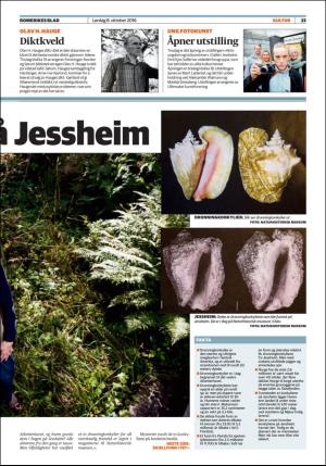 romerikesblad_helg-20161008_000_00_00_023.pdf