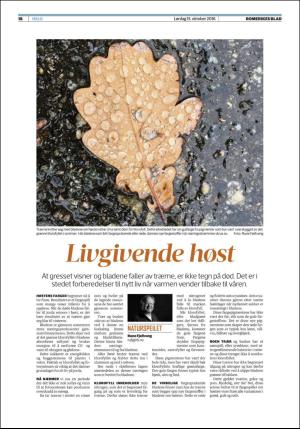 romerikesblad_helg-20161015_000_00_00_018.pdf