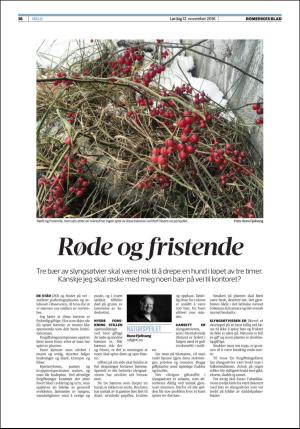 romerikesblad_helg-20161112_000_00_00_016.pdf