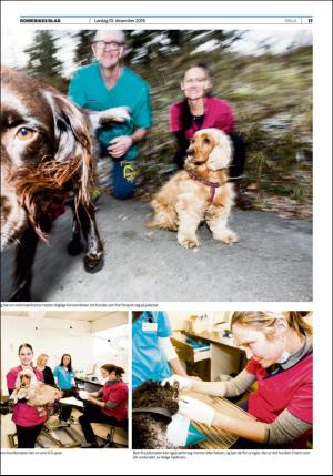 romerikesblad_helg-20161210_000_00_00_017.pdf