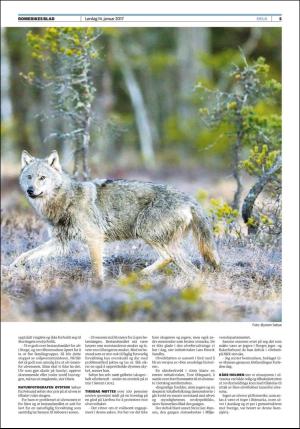 romerikesblad_helg-20170114_000_00_00_005.pdf