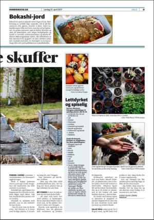 romerikesblad_helg-20170422_000_00_00_011.pdf