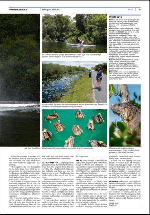 romerikesblad_helg-20170429_000_00_00_015.pdf