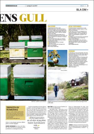 romerikesblad_helg-20170513_000_00_00_005.pdf