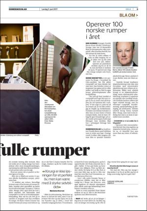 romerikesblad_helg-20170603_000_00_00_005.pdf