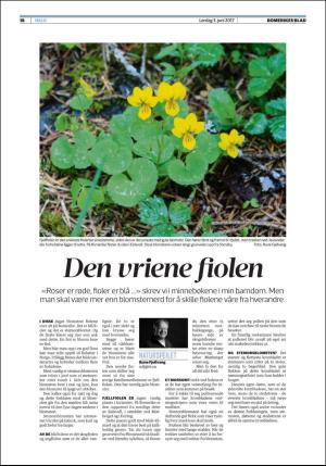 romerikesblad_helg-20170603_000_00_00_018.pdf