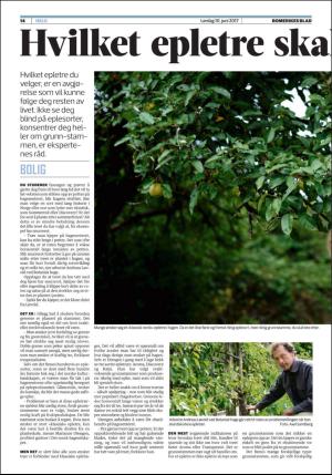 romerikesblad_helg-20170610_000_00_00_014.pdf