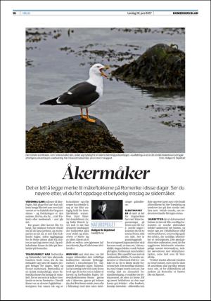 romerikesblad_helg-20170610_000_00_00_018.pdf