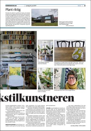 romerikesblad_helg-20170624_000_00_00_015.pdf