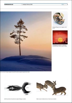 romerikesblad_helg-20180210_000_00_00_007.pdf