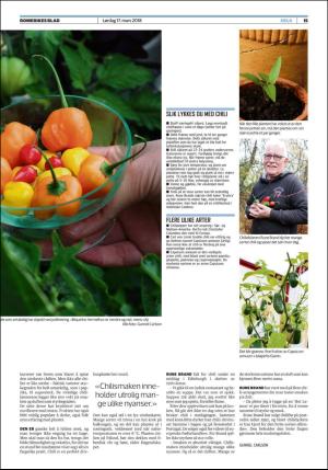 romerikesblad_helg-20180317_000_00_00_015.pdf