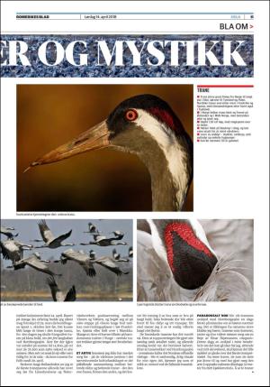 romerikesblad_helg-20180414_000_00_00_011.pdf