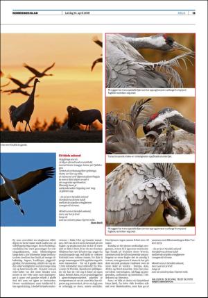 romerikesblad_helg-20180414_000_00_00_013.pdf