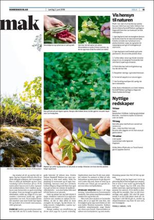 romerikesblad_helg-20180602_000_00_00_015.pdf