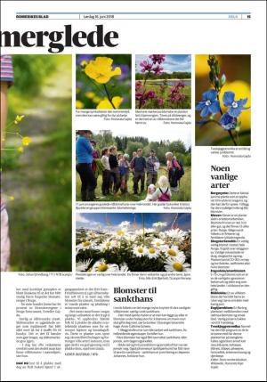 romerikesblad_helg-20180616_000_00_00_015.pdf