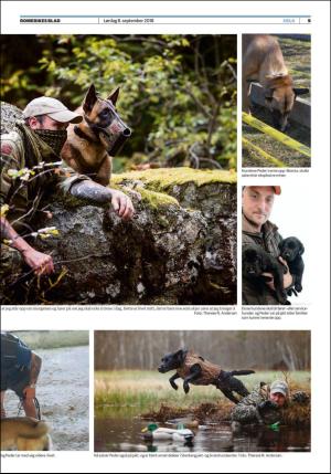 romerikesblad_helg-20180908_000_00_00_009.pdf