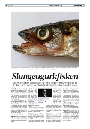 romerikesblad_helg-20181013_000_00_00_018.pdf