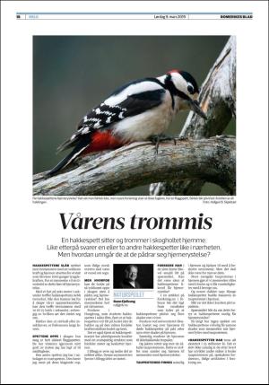 romerikesblad_helg-20190309_000_00_00_018.pdf