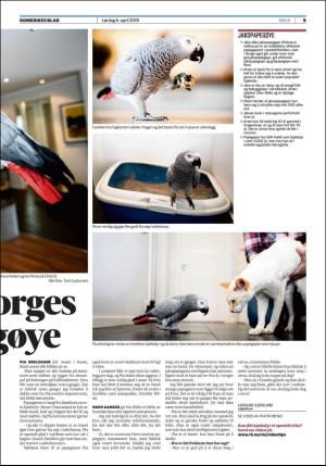 romerikesblad_helg-20190406_000_00_00_009.pdf